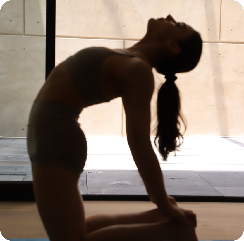 Yoga & Mat Pilates
